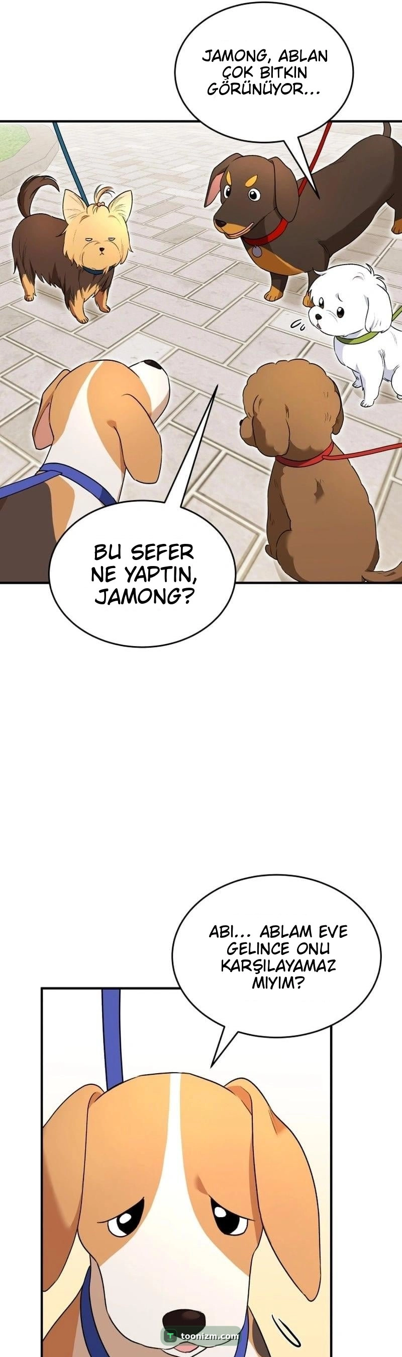 Hello, Mr. Veterinarian! Bölüm 9 sayfa 17