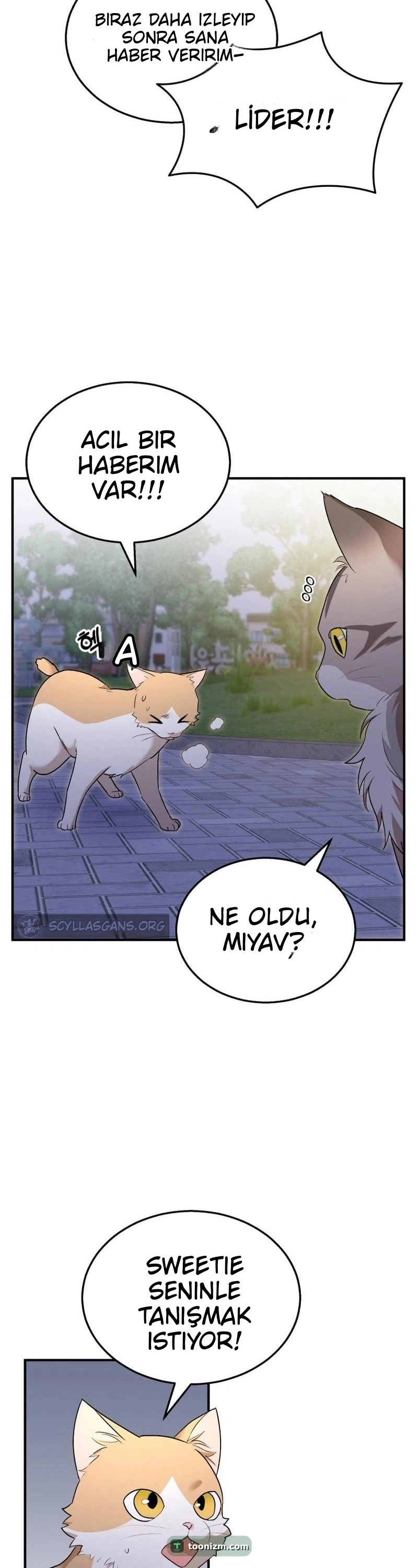 Hello, Mr. Veterinarian! Bölüm 6 sayfa 35