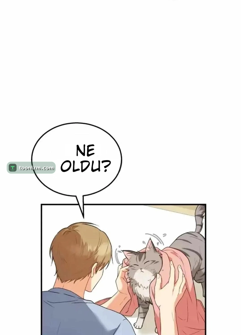 Hello, Mr. Veterinarian! Bölüm 7.1 sayfa 3