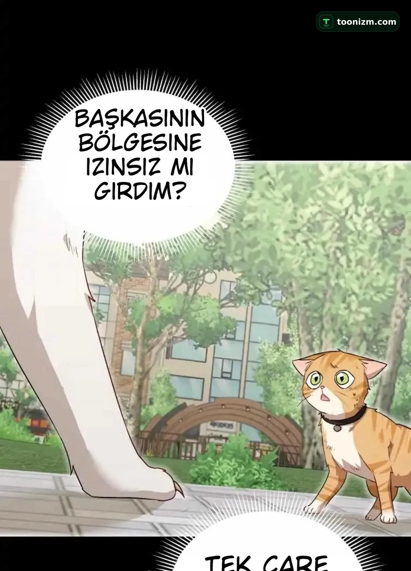 Hello, Mr. Veterinarian! Bölüm 7.1 sayfa 49