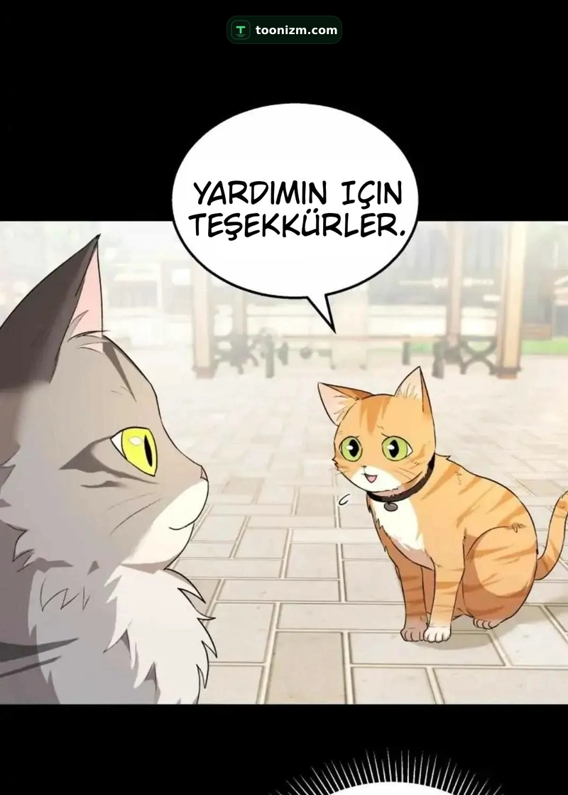 Hello, Mr. Veterinarian! Bölüm 7.1 sayfa 56