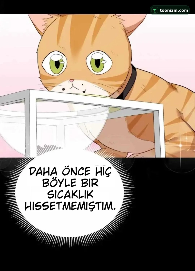 Hello, Mr. Veterinarian! Bölüm 7.1 sayfa 82