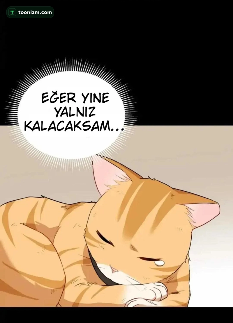 Hello, Mr. Veterinarian! Bölüm 7.1 sayfa 106