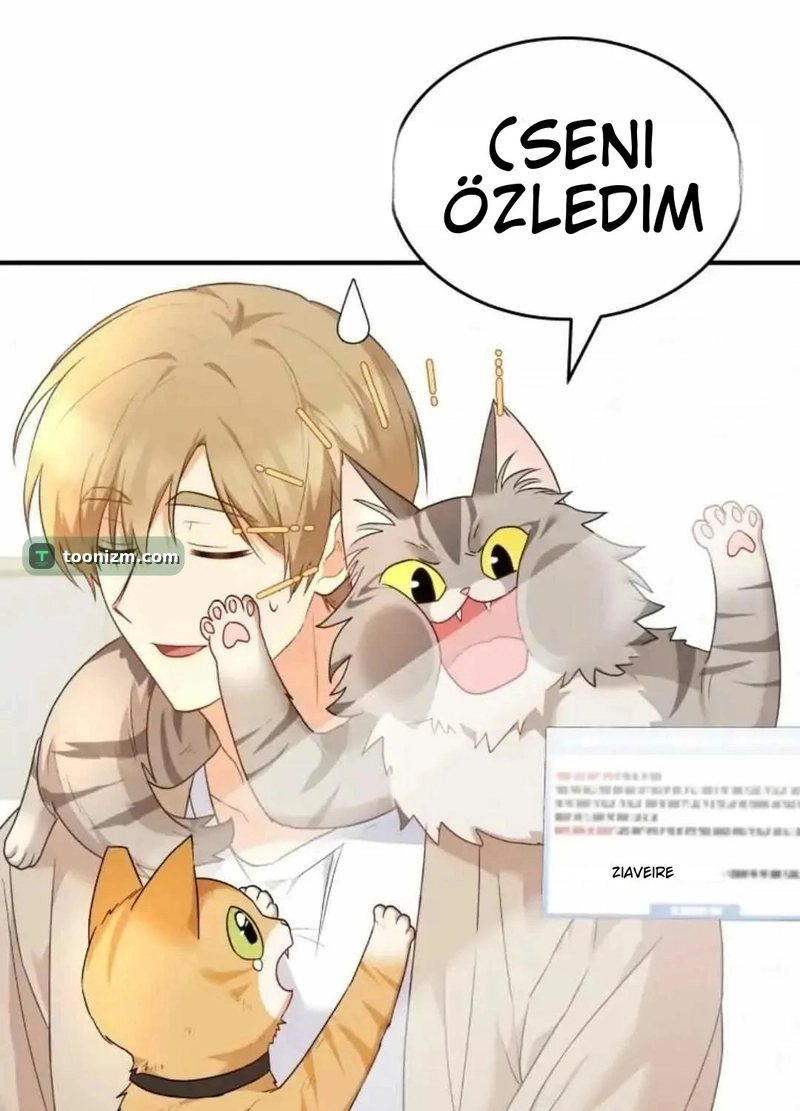 Hello, Mr. Veterinarian! Bölüm 7.1 sayfa 115