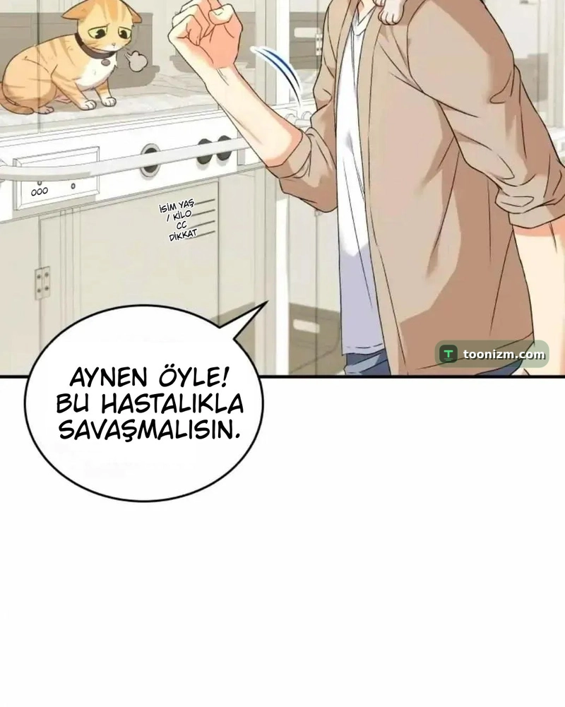 Hello, Mr. Veterinarian! Bölüm 7.1 sayfa 122