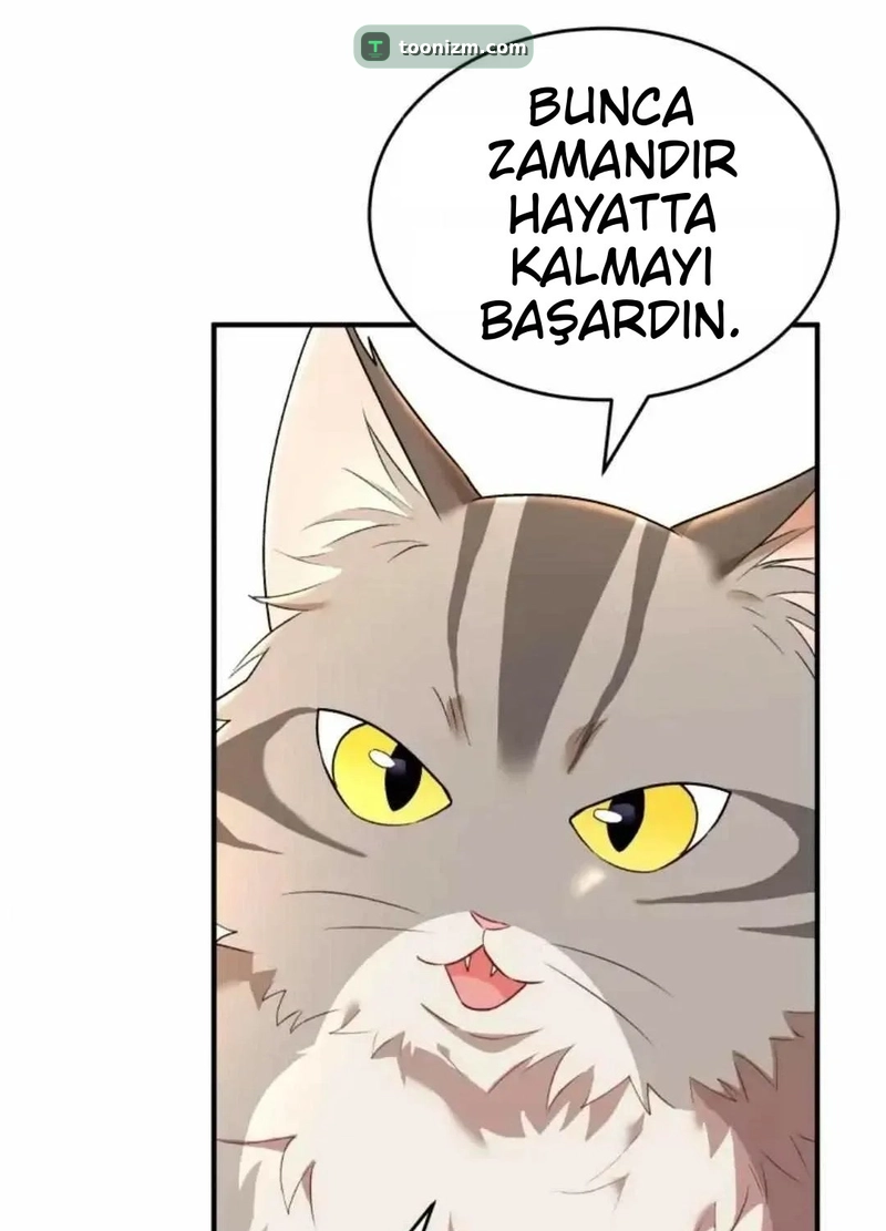Hello, Mr. Veterinarian! Bölüm 7.1 sayfa 123