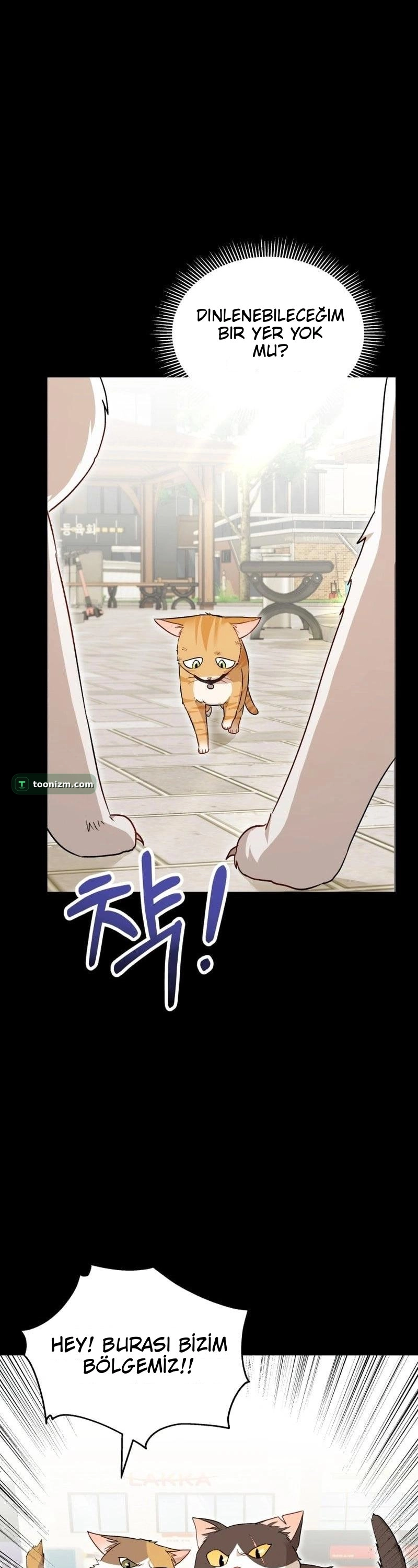 Hello, Mr. Veterinarian! Bölüm 7 sayfa 17