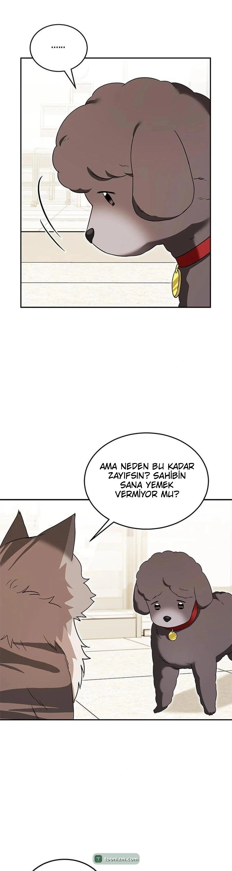 Hello, Mr. Veterinarian! Bölüm 35 sayfa 13