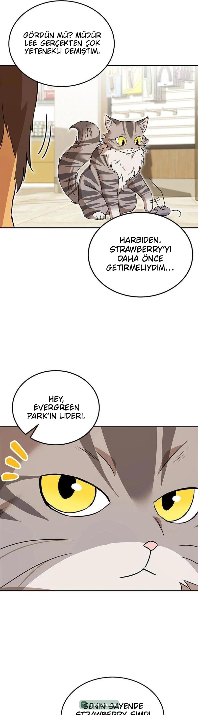 Hello, Mr. Veterinarian! Bölüm 35 sayfa 37