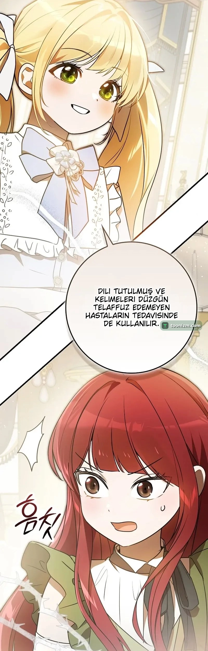 I Was Picked as the Tyrant's Daughter-in-Law Bölüm 8 sayfa 11
