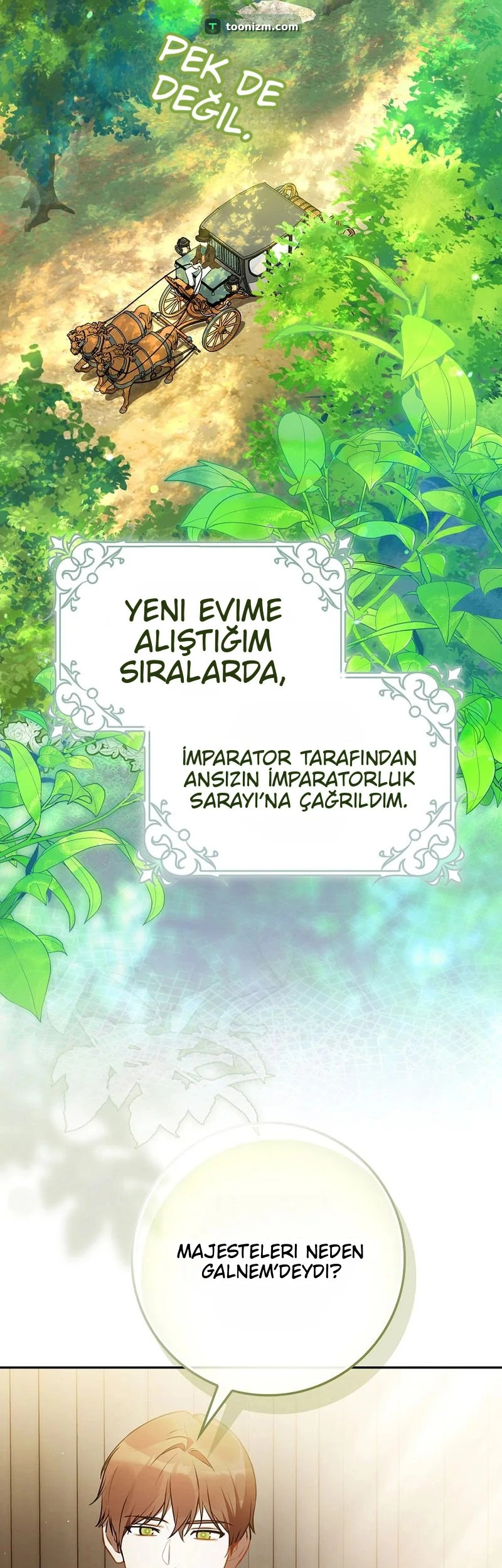 I Was Picked as the Tyrant's Daughter-in-Law Bölüm 6 sayfa 2