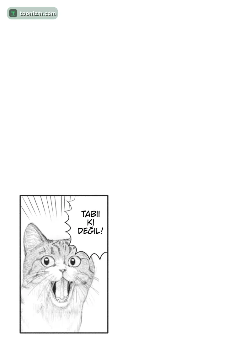Uzaki-chan wa Asobitai! Bölüm 51.5 sayfa 11